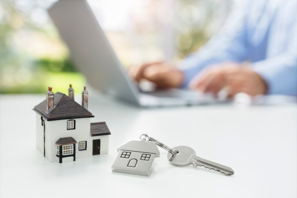 Searching the internet for real estate or new house